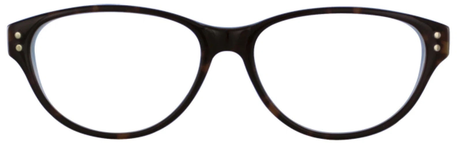Via Spiga VSTeodora Eyeglasses - Tort/lt. Blue - view 5
